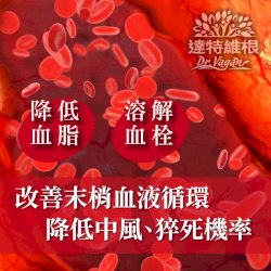 循速通健康膠囊